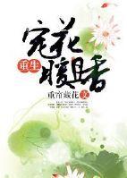 HP之铂金与紫罗兰txt下载