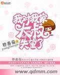 白首txt下载